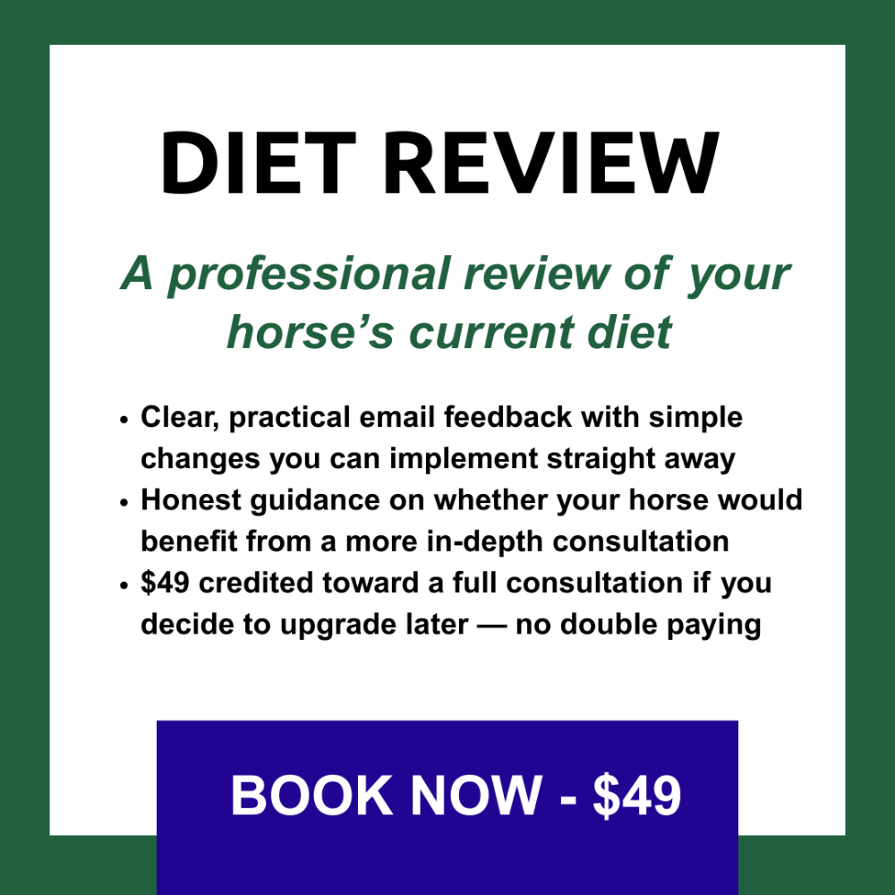 Equine Diet Review